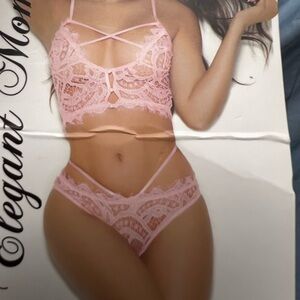 Elegant Moments Pastel Pink Lace Bra and Panty Set